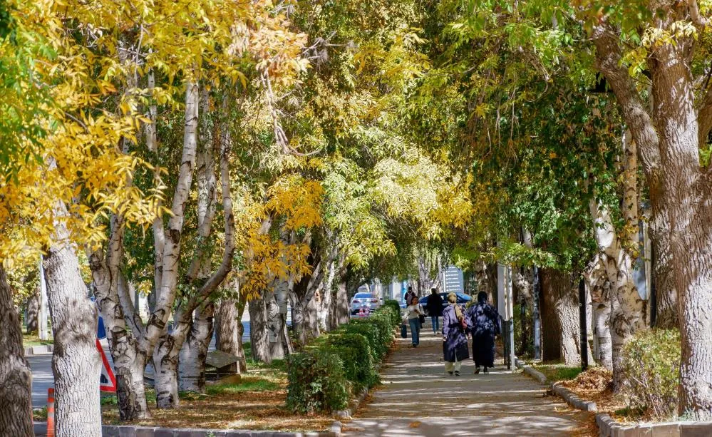 Meteorolojiden kuvvetli rüzgar ve kar uyarısı