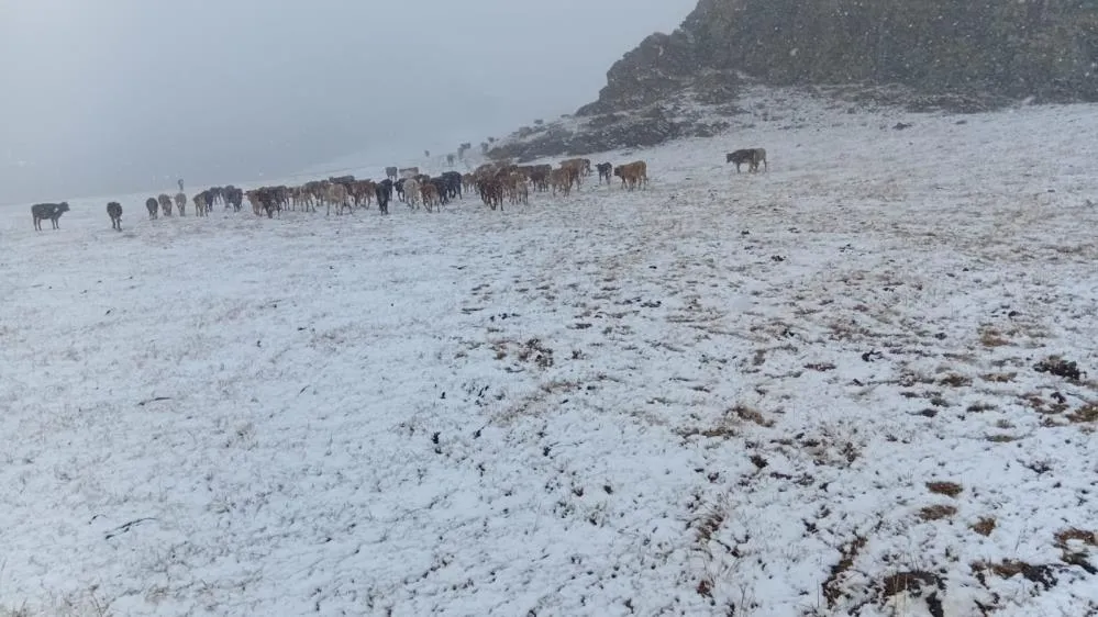Erzurum’da yüksek kesimlere kar yağdı